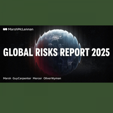 WEF- Global Risks Report 2025