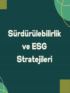 Sürdürülebilirlik ve ESG Stratejileri